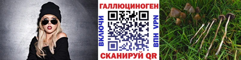 купить  сайты  Слободской  Псилоцибиновые грибы Magic Shrooms 